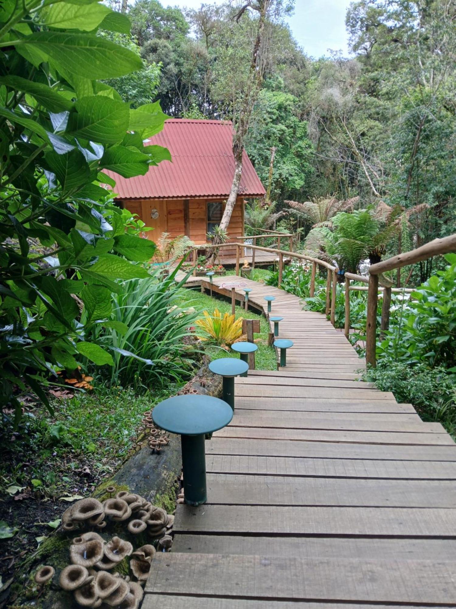 Chale Samambaia Villa Campos do Jordao Ngoại thất bức ảnh